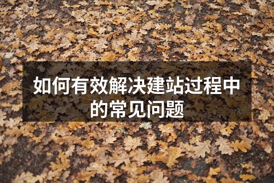 如何有效解决建站过程中的常见问题