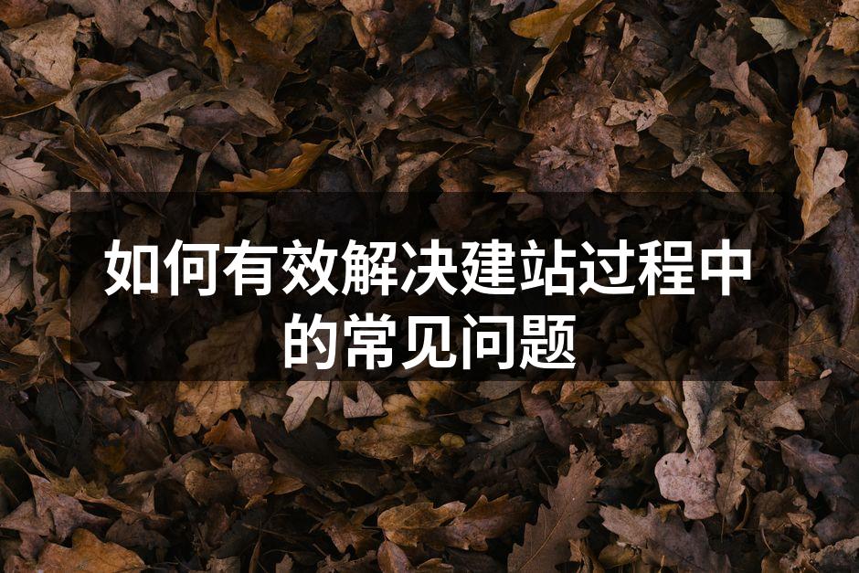 网站建设中的技术问题