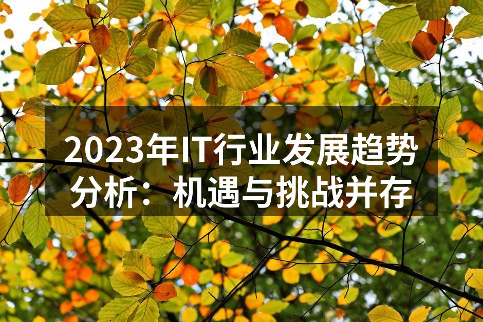 人工智能技术应用示例